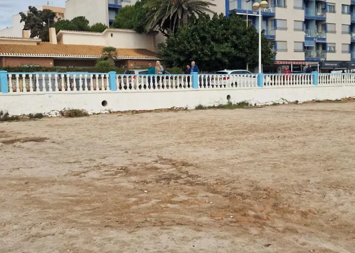 Locos With Sea View *