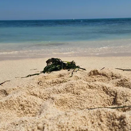 Apartmán Locos With Sea View Torrevieja